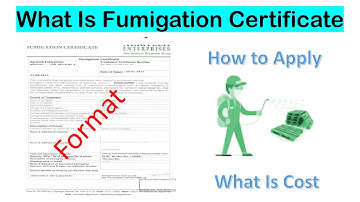 What is Fumigation Certificate In Import Export