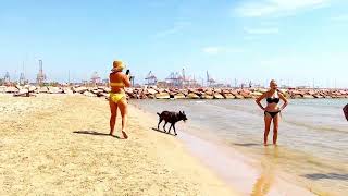 Day In Valencia Beach - Spain Amazing August 2023 | Pinedo Beach | Part 6 | Walking 4K