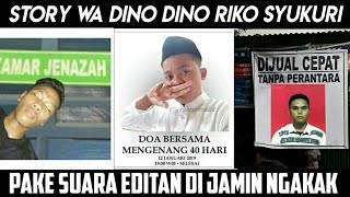 Story' Wa Dino Dino Riko Syukuri