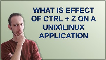What is effect of CTRL + Z on a unixLinux application
