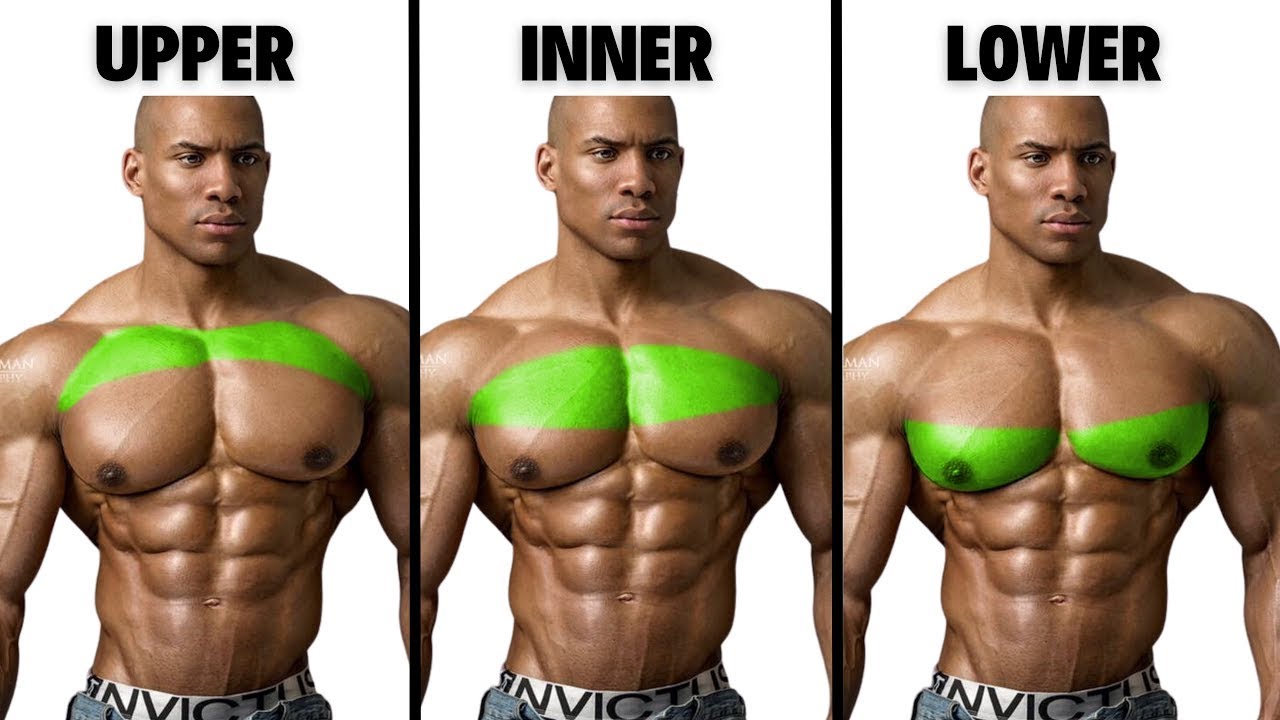 build-bigger-chest-with-these-effective-chest-workout-youtube
