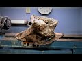 Woodturning - Dinosaur Foot (Black Walnut Pedestal Bowl)