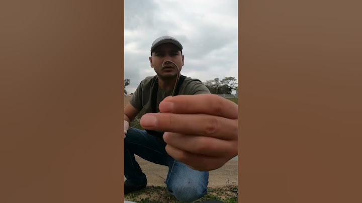 Tip para BAGRES. #pescaesportiva #fishing  #suscribete #catfish #viral #youtubeshorts  #fypシ #top10