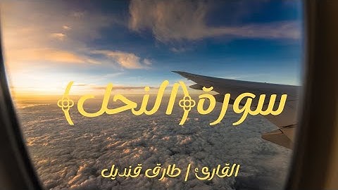 أواخر سورة | النحل2025 | القارئ #طارق_قنديل #قران