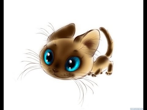 картинки кошки рисунки онлайн