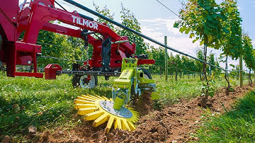 Tilmor Works - Cultivating Vineyards with the ACS