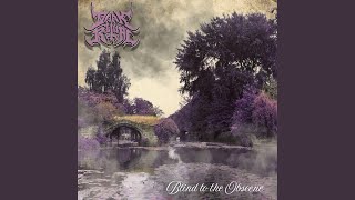 Blind to the Obscene