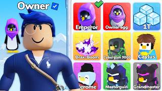 Begging Until I Get Owner Account..