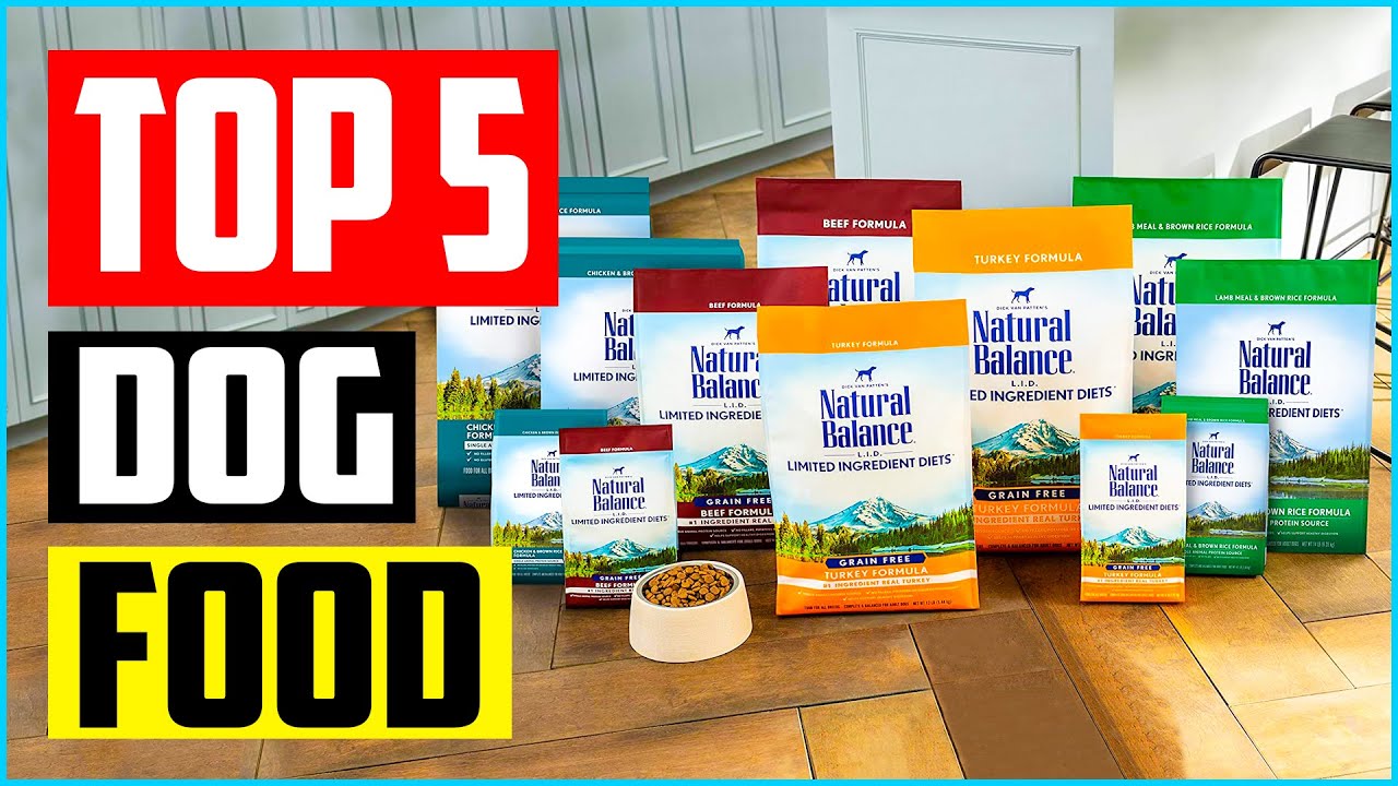 Top 5 Best Healthy Wet Dog Food in 2022 Reviews