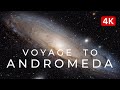 I imaged Andromeda. What are we looking at?