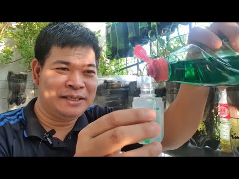 Video: Paggamit ng Hot Peppers Para sa Pest Control - Paano Maitaboy ang mga Peste Gamit ang Hot Peppers