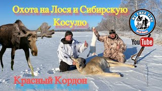 Охота На Лося И Сибирскую Косулю! Hunting