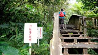 竹坑溪步道&amp;生毛樹瀑布