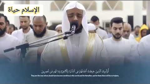 سورة آل عمران كاملة بصوت القارىء الشيخ محمد عباده #قرآن #القرآن_الكريم #الله #المصحف 