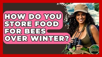 How Do You Store Food For Bees Over Winter? - Reptilian Wonders
