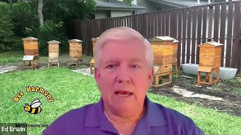 Ed Erwin - Tips for Getting Bees to Draw Out Comb
