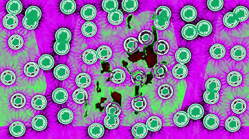 Klasky Csupo With 8 Random VST Effects