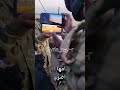 شاهد كيف يطلقون الجيش الحر مسيرة شاهين على الاعداء في مدينة منبج اناشيد Syria S Y R ماجد الخالدي شاهد كيف يطلقون الجيش الحر مسيرة شاهين على الاعداء في مدينة منبج اناشيد Syria S Y R ماجد الخالدي