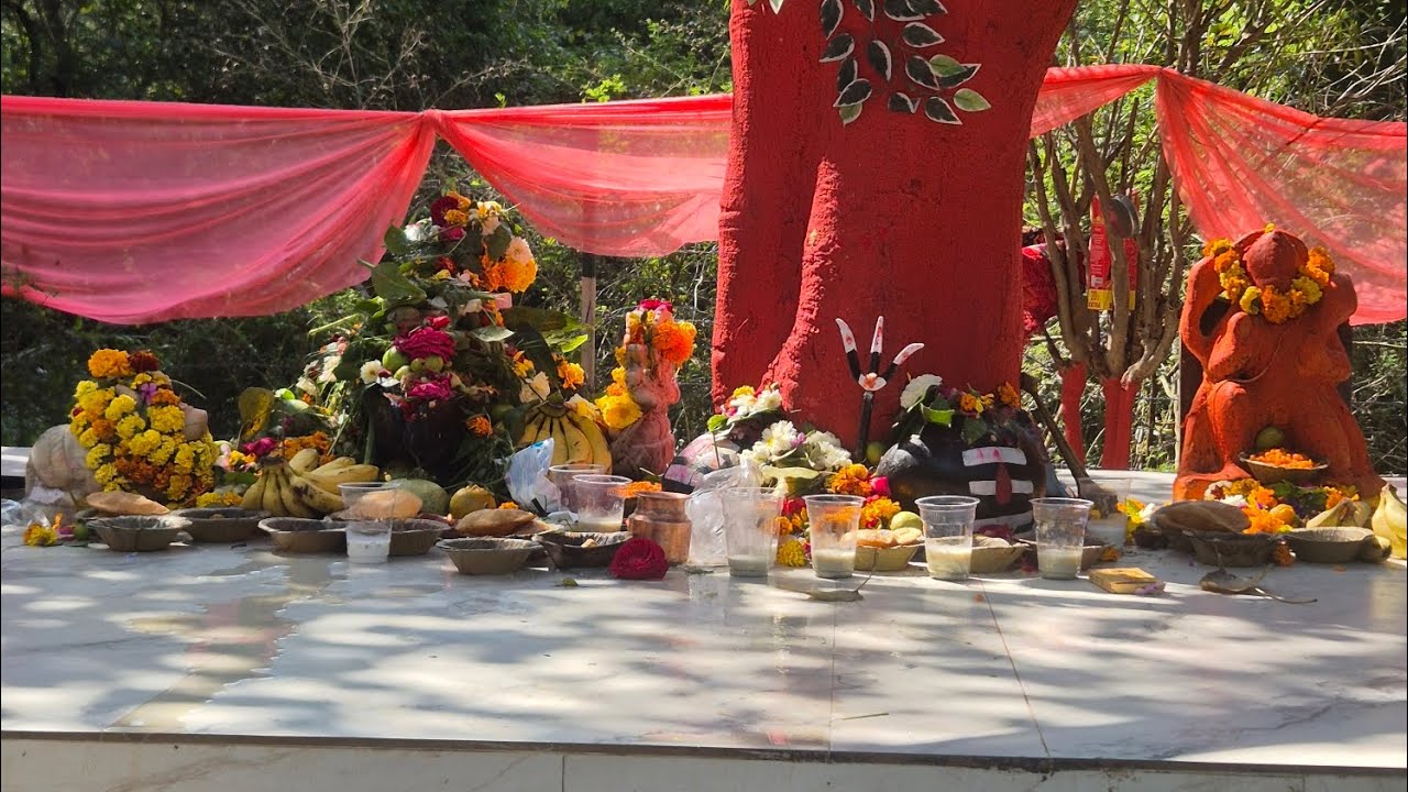 Mahashivratri |Bhandara vlog |shaadi ho gai🥰😇😇😊#iit kanpur #vlog #subscribe 