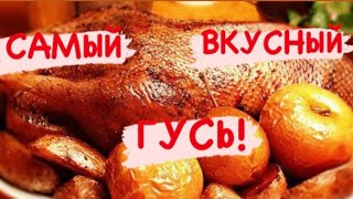 Как приготовить Гуся в духовке Самый ВКУСНЫЙ ГУСЬ Такого ГУСЯ вы НИКОГДА не ели 