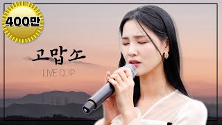 [ Live Clip ] 조항조 - 고맙소 Cover by. 황우림