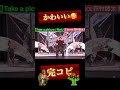 【保存用】完コピダンス👏Da-iCE 花村想太くん #shorts
