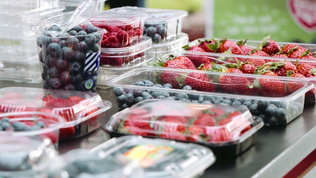 Global Berry Congress 2017 Leading conference for berry business