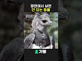 정면에서 보면 안 되는 동물