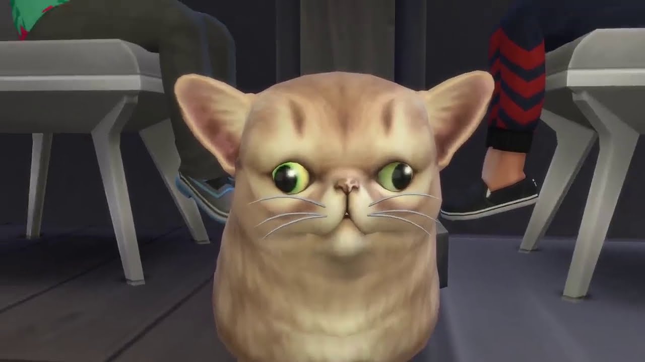 Graystillplays Sims 4 Cat