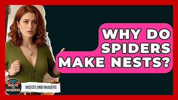 Why Do Spiders Make Nests? - Insects and Invaders