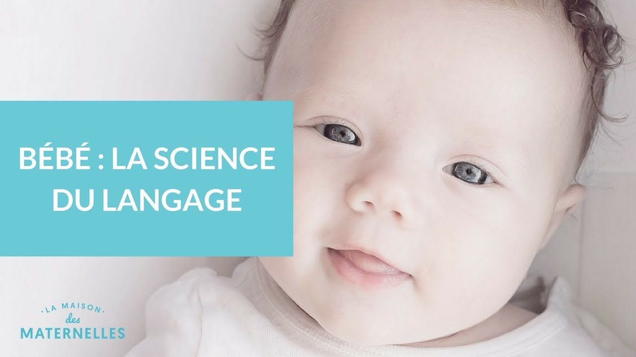Bébé : la science du langage - La Maison des Maternelles 