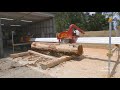 Mahoe Minimax Full Log Cut
