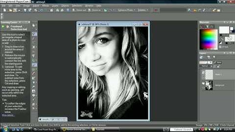 Corel Paint Shop Pro x2 Tutorial: How to use brushes
