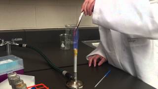 How to Flame Sterilize Forceps and Inoculating Loops