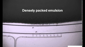A Centrifugal High Throughput Step Emulsification Disk