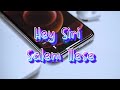 Salem Ilese - hey Siri (lyrics)