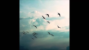 الشيخ أحمد كاسب - سورة الصف