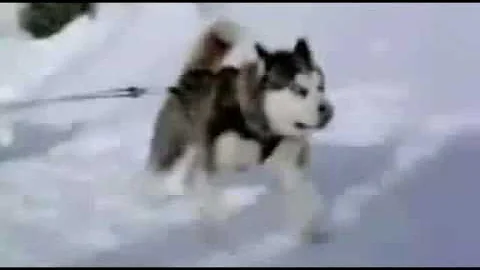 Lean On Me - Mitchel Musso