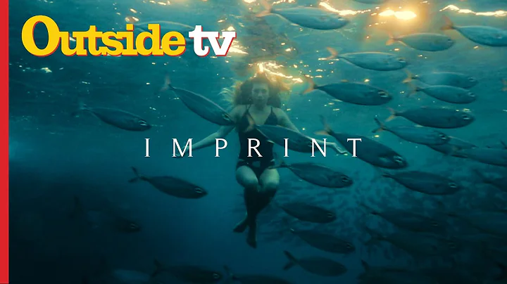 Imprint: Art of the Hunt | Dispatches