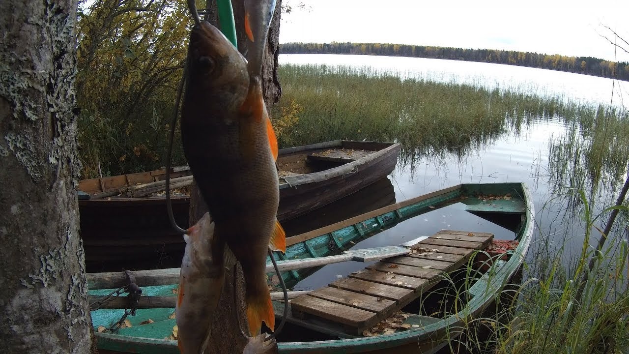 Рыбалка в Карелии- Озеро- Чогозеро- 7. 10 .2017 г