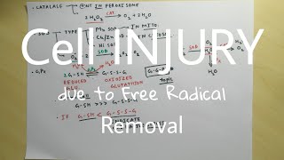 Cell Injury due to Free Radical - 4, Removal