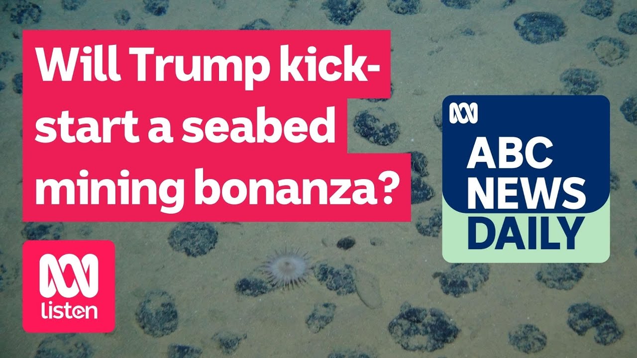 Will Trump kick-start a seabed mining bonanza? | ABC News Daily podcast