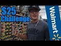 $25 Walmart Fishing Challenge!!! (You Won't Believe It!)