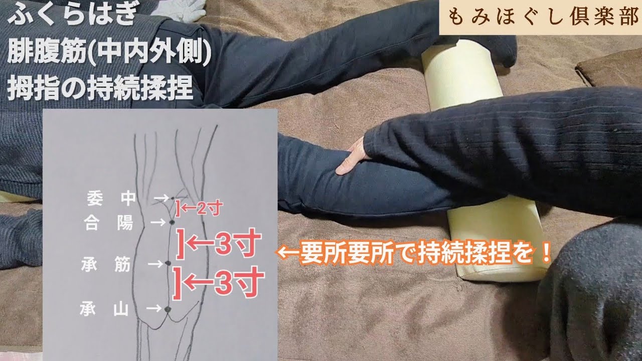 【持続揉捏シリーズ】ふくらはぎ(腓腹筋)もみほぐし手技テクニック 4拍子・6拍子1・2のリズムを変えるだけで反応が良くなります！ 