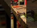 Rustremoving Rusting #rust  #rustremoving  #rusting  #restoring  #asmr