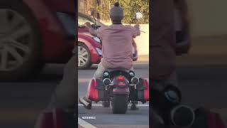 Mini Harley Davidson Spotted