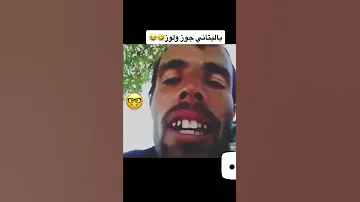 ياليتني جوز ولوز 