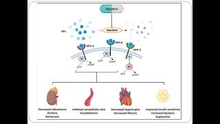 Angiotensin Receptor Aldosterone Antagonist (ARNI)- Latest ESC Guidelines 2021