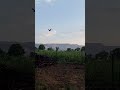 गावाकडची सुंदर अशी सकाळ ,पक्षांचा आवाज|अतिशय सुंदर वातावरण
