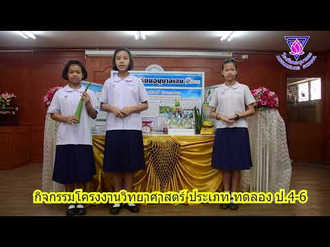 โรงเรียนอนุบาลเลย : กิจกรรม โครงงานวิทยาศาสตร์ ประเภททดลอง